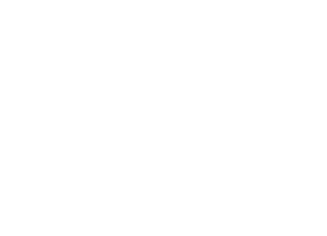 Army Logo