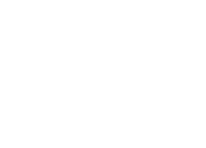 Trip Advisor Logo